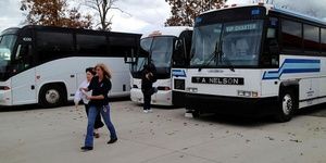 buses